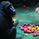 Baboon sits in front of heart-shaped pile of fruit